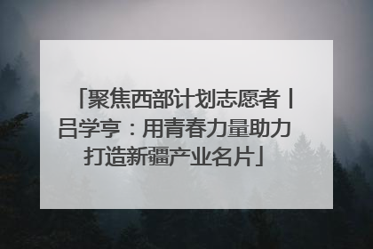 聚焦西部计划志愿者丨吕学亨：用青春力量助力打造新疆产业名片