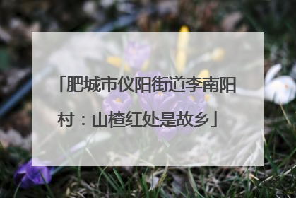 肥城市仪阳街道李南阳村：山楂红处是故乡
