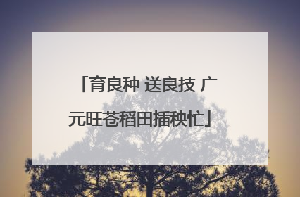 育良种 送良技 广元旺苍稻田插秧忙