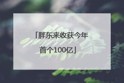 胖东来收获今年首个100亿