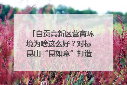 自贡高新区营商环境为啥这么好？对标昆山“昆如意”打造自贡“高兴办”｜美好生活有“盐”味