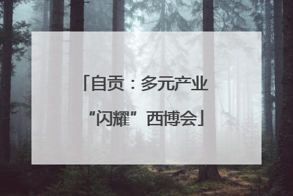 自贡：多元产业“闪耀”西博会