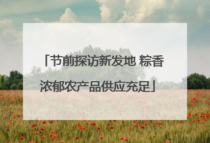 节前探访新发地 粽香浓郁农产品供应充足
