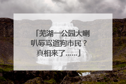 芜湖一公园大喇叭辱骂遛狗市民？真相来了……
