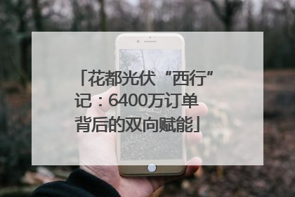 花都光伏“西行”记：6400万订单背后的双向赋能