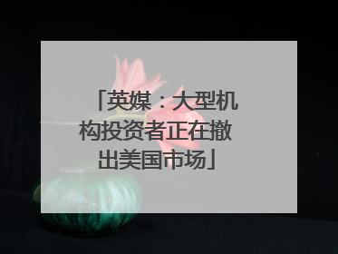 英媒：大型机构投资者正在撤出美国市场