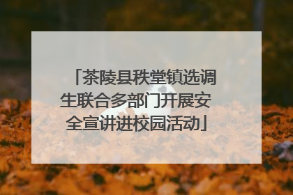 茶陵县秩堂镇选调生联合多部门开展安全宣讲进校园活动