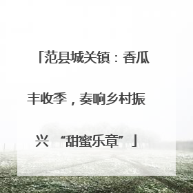 范县城关镇：香瓜丰收季，奏响乡村振兴 “甜蜜乐章”