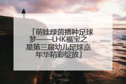 萌娃绿茵播种足球梦——LHK福宝之星第三届幼儿足球嘉年华精彩绽放