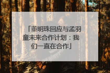 董明珠回应与孟羽童未来合作计划：我们一直在合作