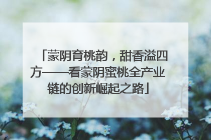 蒙阴育桃韵，甜香溢四方——看蒙阴蜜桃全产业链的创新崛起之路