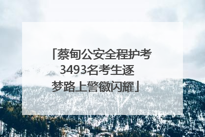 蔡甸公安全程护考 3493名考生逐梦路上警徽闪耀