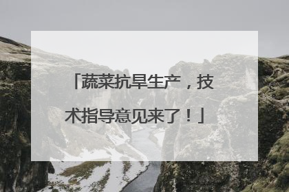蔬菜抗旱生产，技术指导意见来了！