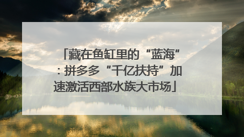 藏在鱼缸里的“蓝海”：拼多多“千亿扶持”加速激活西部水族大市场