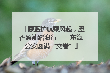 藏蓝护航乘风起，墨香盈袖踏浪行——东海公安圆满“交卷”
