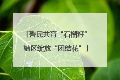 警民共育“石榴籽” 辖区绽放“团结花”