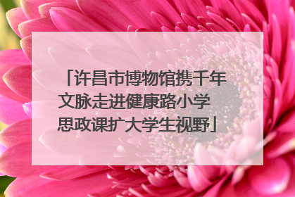 许昌市博物馆携千年文脉走进健康路小学 思政课扩大学生视野