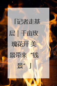 记者走基层｜千亩玫瑰花开 美景带来“钱景”