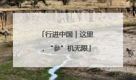 行进中国｜这里，“参”机无限