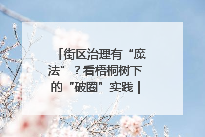 街区治理有“魔法”？看梧桐树下的“破圈”实践｜我在街区当书记