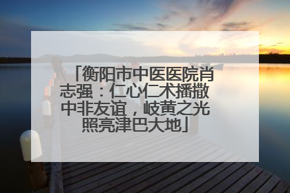衡阳市中医医院肖志强：仁心仁术播撒中非友谊，岐黄之光照亮津巴大地