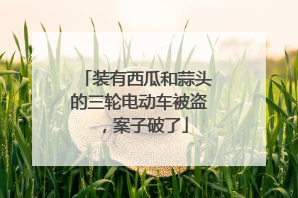 装有西瓜和蒜头的三轮电动车被盗，案子破了