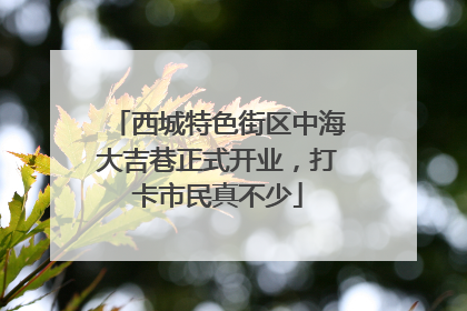 西城特色街区中海大吉巷正式开业，打卡市民真不少