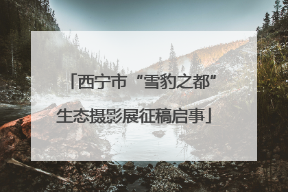 西宁市“雪豹之都”生态摄影展征稿启事