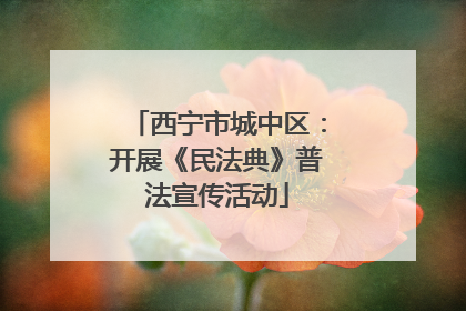 西宁市城中区：开展《民法典》普法宣传活动