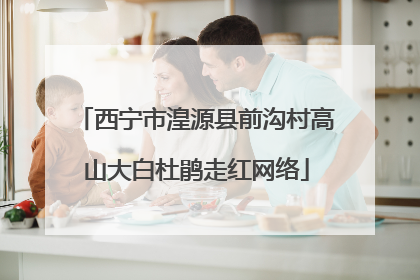 西宁市湟源县前沟村高山大白杜鹃走红网络