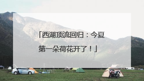 西湖顶流回归：今夏第一朵荷花开了！