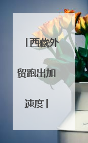 西藏外贸跑出加速度