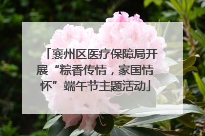 襄州区医疗保障局开展“粽香传情，家国情怀”端午节主题活动