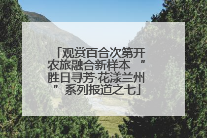观赏百合次第开 农旅融合新样本 “胜日寻芳·花漾兰州”系列报道之七