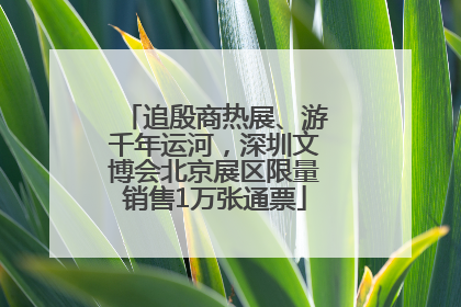 追殷商热展、游千年运河，深圳文博会北京展区限量销售1万张通票