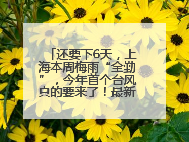 还要下6天，上海本周梅雨“全勤”，今年首个台风真的要来了！最新研判→