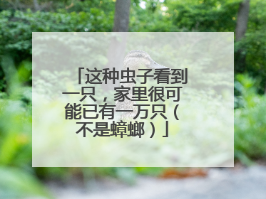 这种虫子看到一只，家里很可能已有一万只（不是蟑螂）