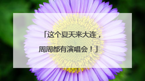 这个夏天来大连，周周都有演唱会！