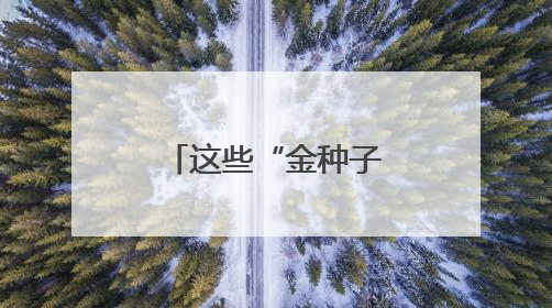 这些“金种子”，带你解锁未来产业！