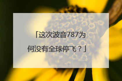 这次波音787为何没有全球停飞？