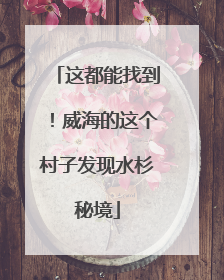 这都能找到！威海的这个村子发现水杉秘境