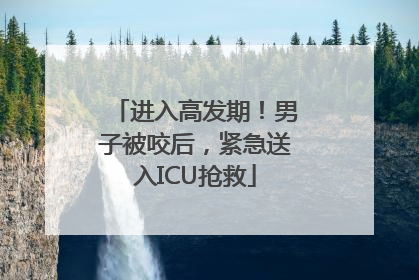 进入高发期！男子被咬后，紧急送入ICU抢救