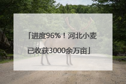 进度96%！河北小麦已收获3000余万亩