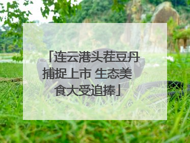 连云港头茬豆丹捕捉上市 生态美食大受追捧