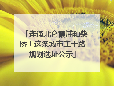 连通北仑霞浦和柴桥！这条城市主干路规划选址公示