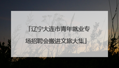 辽宁大连市青年就业专场招聘会搬进文旅大集
