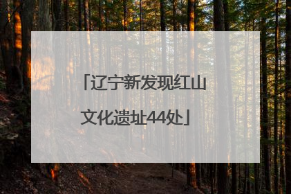 辽宁新发现红山文化遗址44处