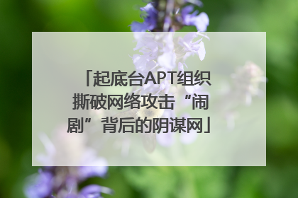 起底台APT组织 撕破网络攻击“闹剧”背后的阴谋网