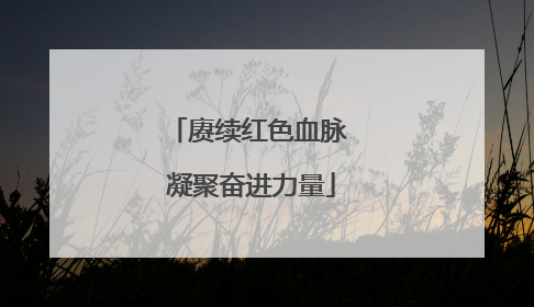 赓续红色血脉 凝聚奋进力量