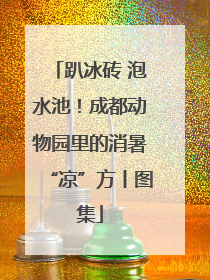 趴冰砖 泡水池！成都动物园里的消暑“凉”方丨图集
